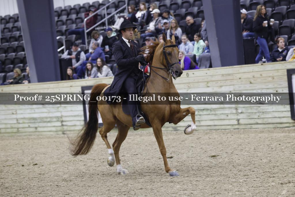 Proof 25SPRING_00173