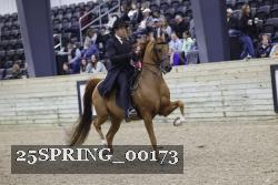 25SPRING_00173 proof