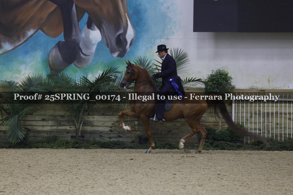 Proof 25SPRING_00174