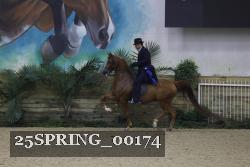 25SPRING_00174 proof