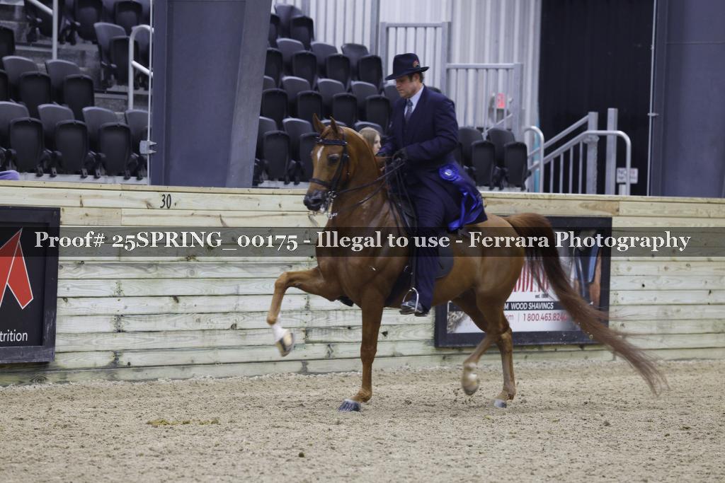 Proof 25SPRING_00175