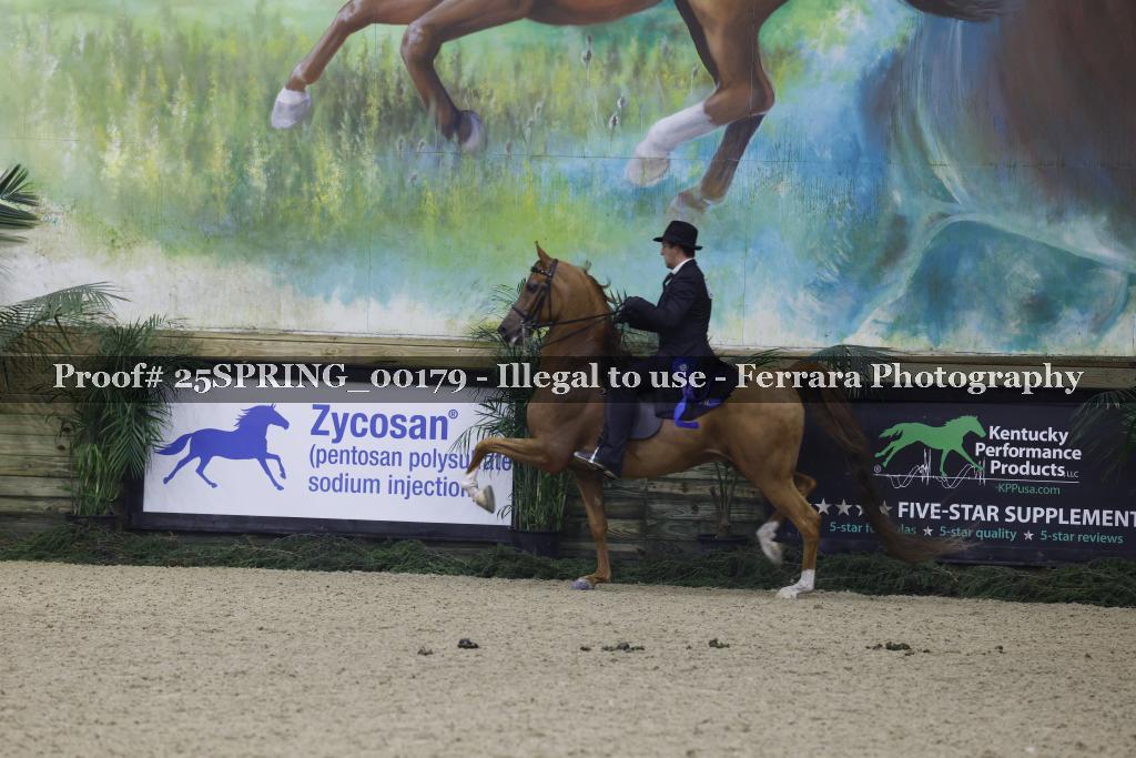 Proof 25SPRING_00179