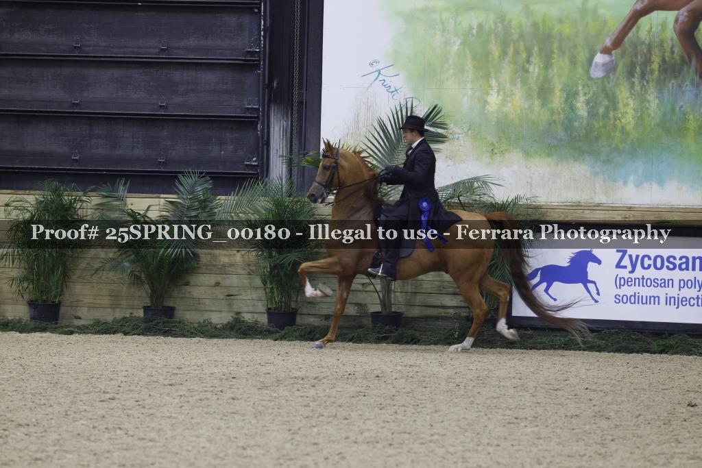 Proof 25SPRING_00180