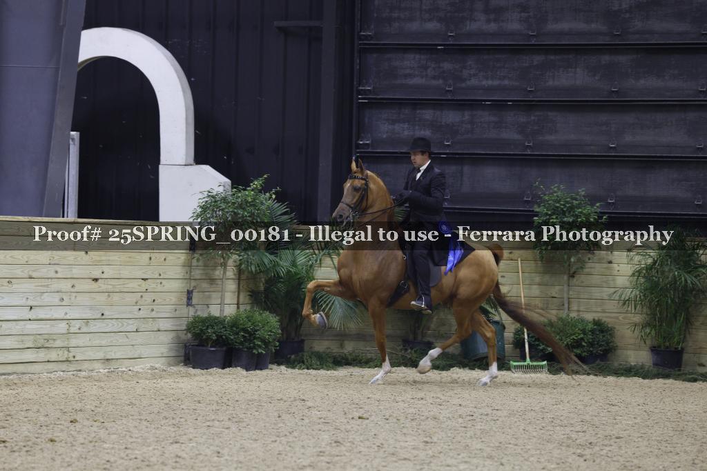 Proof 25SPRING_00181