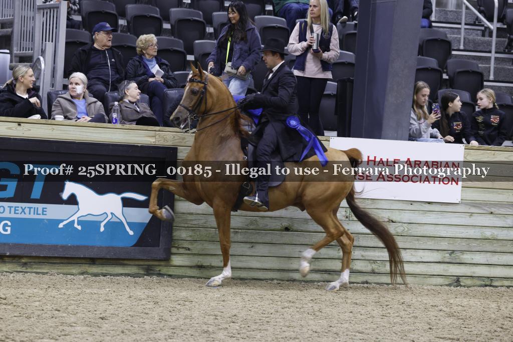 Proof 25SPRING_00185