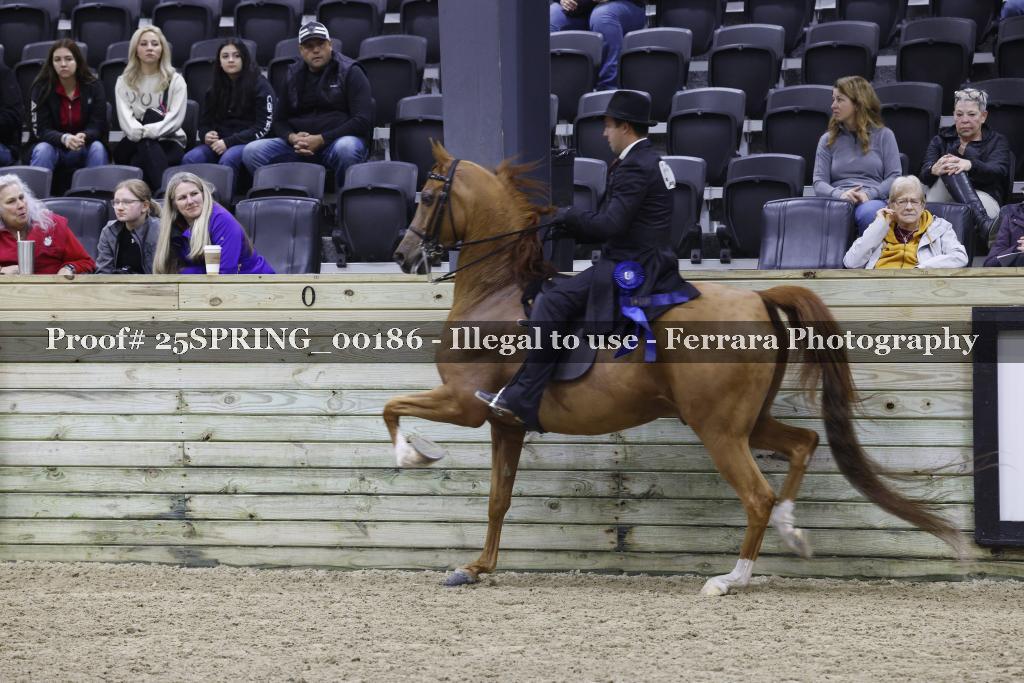 Proof 25SPRING_00186