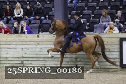 25SPRING_00186 proof