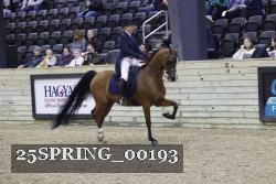 25SPRING_00193 proof