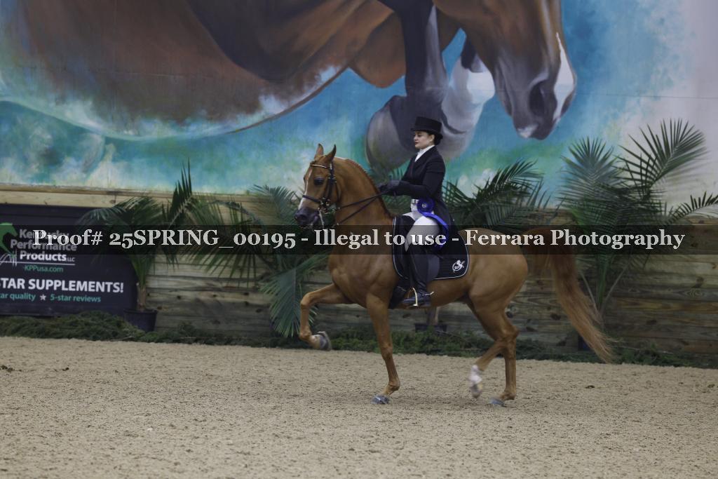 Proof 25SPRING_00195