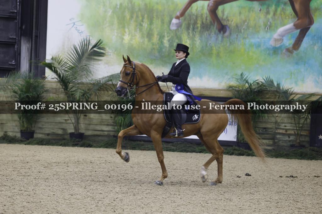 Proof 25SPRING_00196