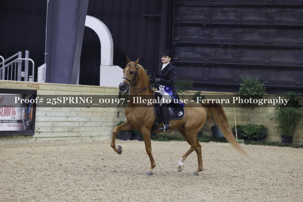 Proof 25SPRING_00197