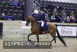25SPRING_00201 proof