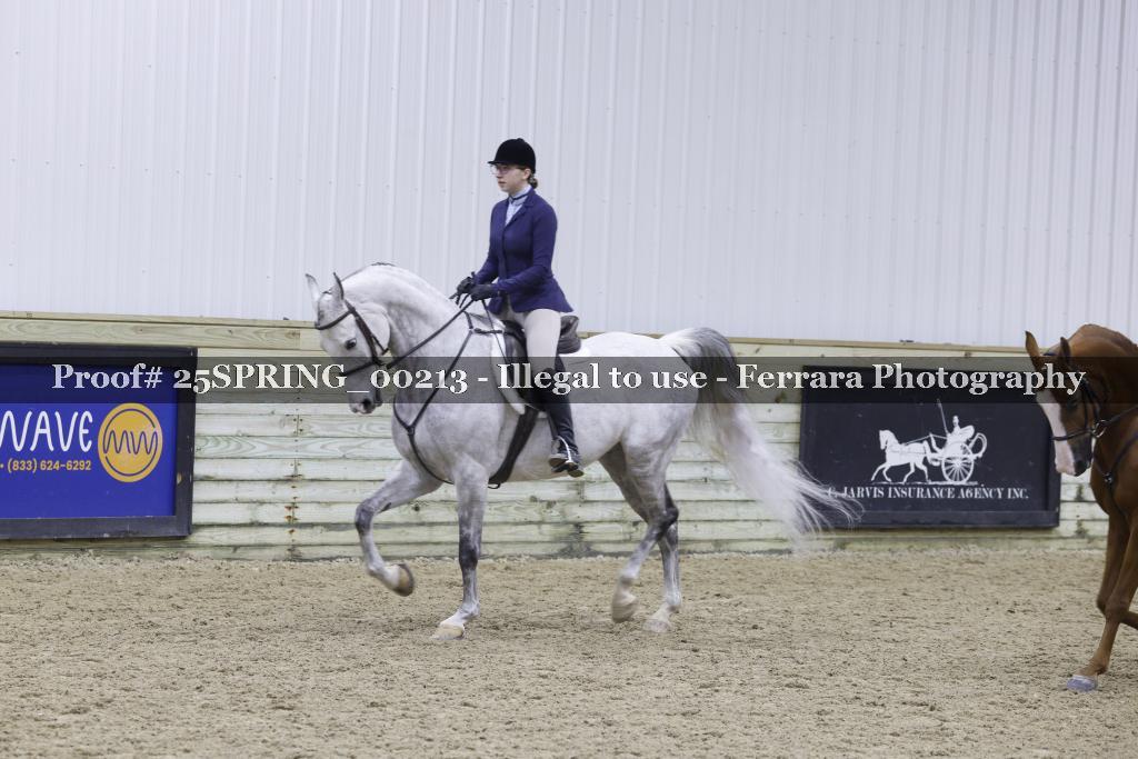 Proof 25SPRING_00213