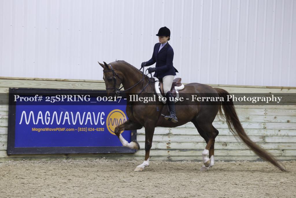 Proof 25SPRING_00217