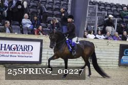 25SPRING_00227 proof