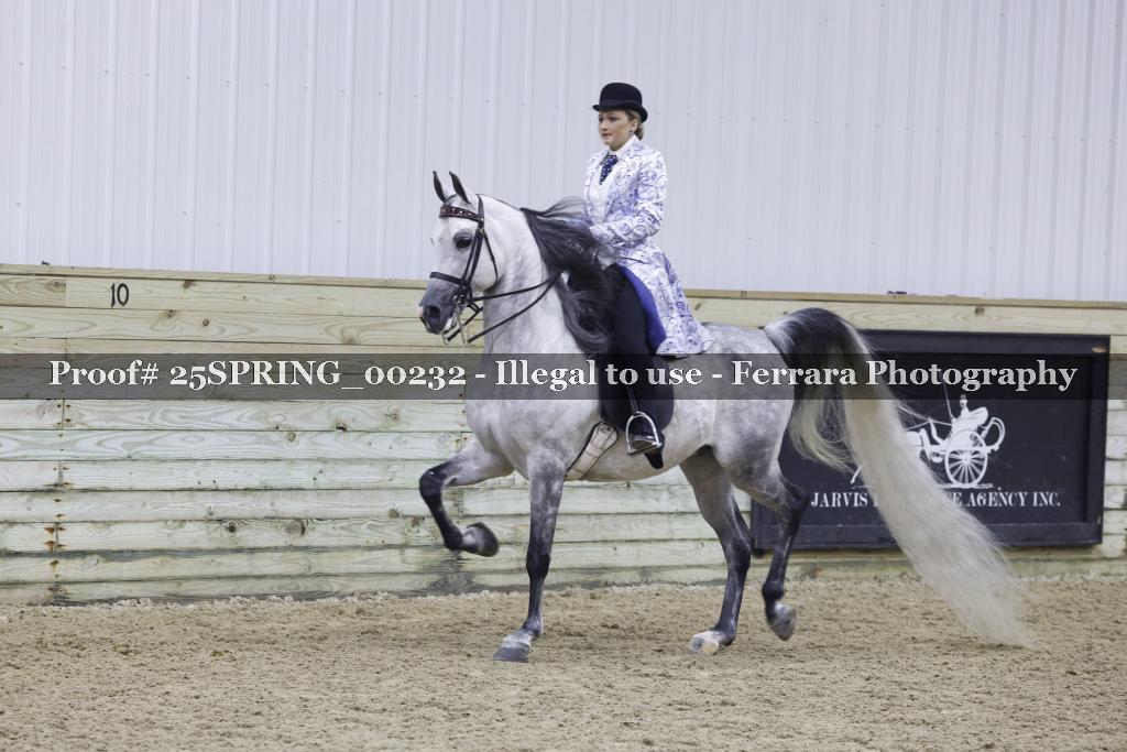 Proof 25SPRING_00232