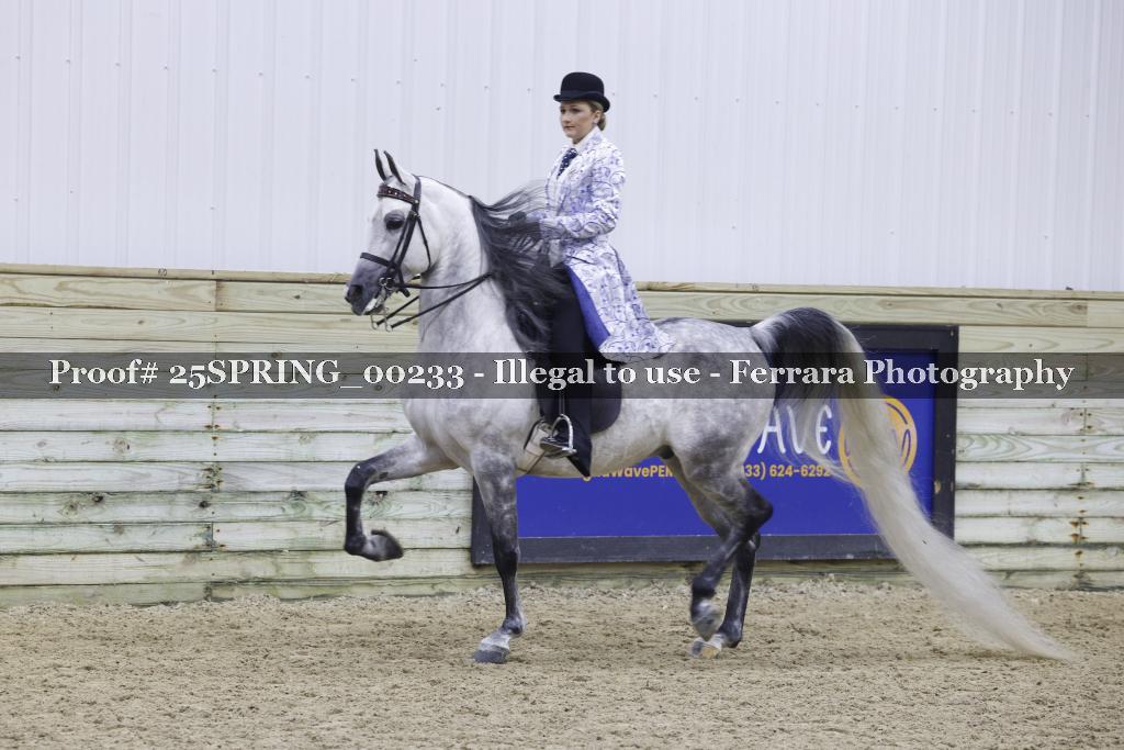 Proof 25SPRING_00233
