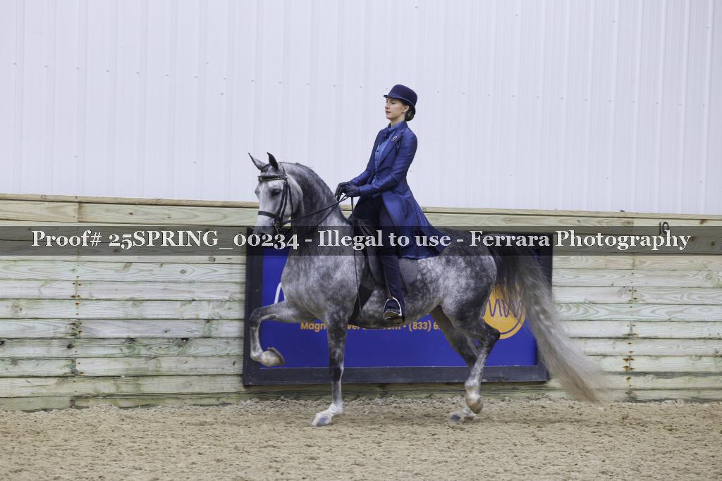 Proof 25SPRING_00234