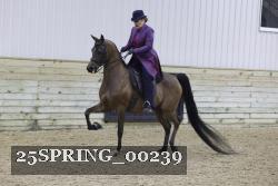 25SPRING_00239 proof