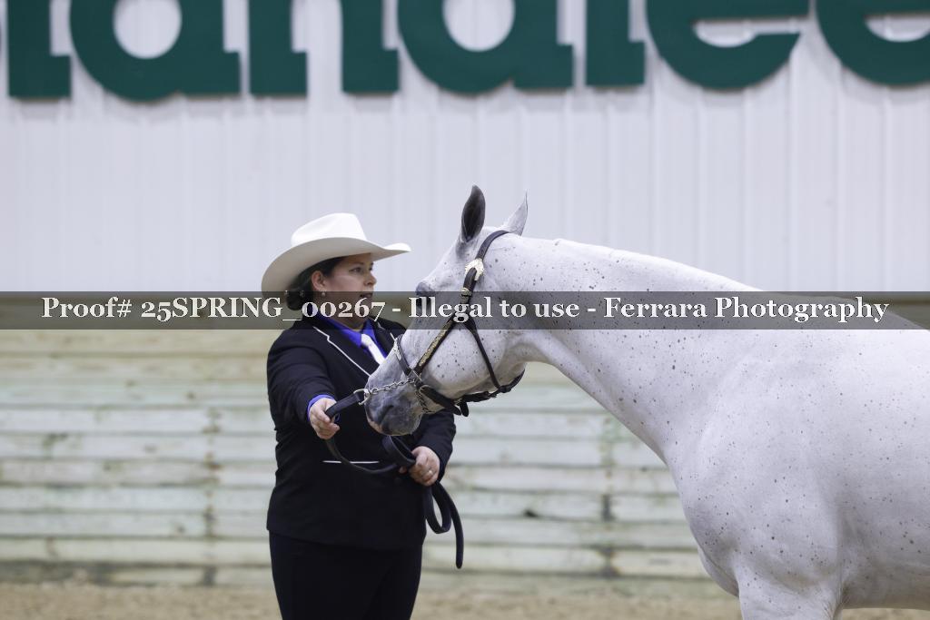 Proof 25SPRING_00267