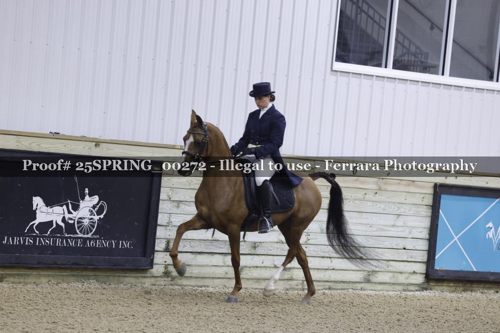 Proof 25SPRING_00272