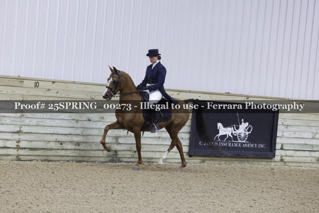 Proof 25SPRING_00273