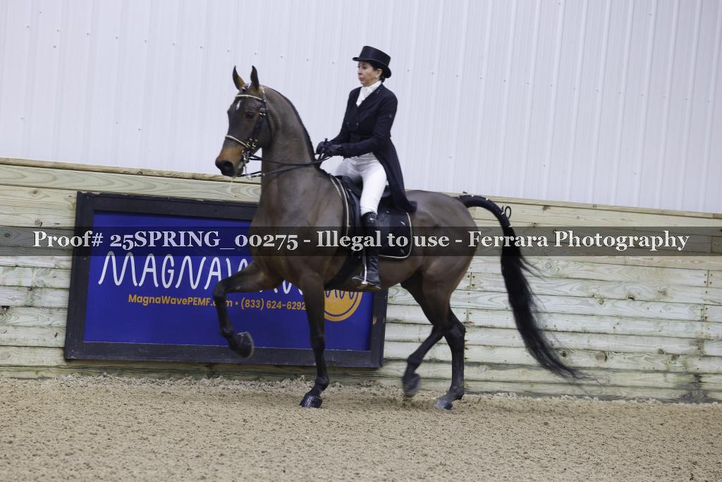 Proof 25SPRING_00275