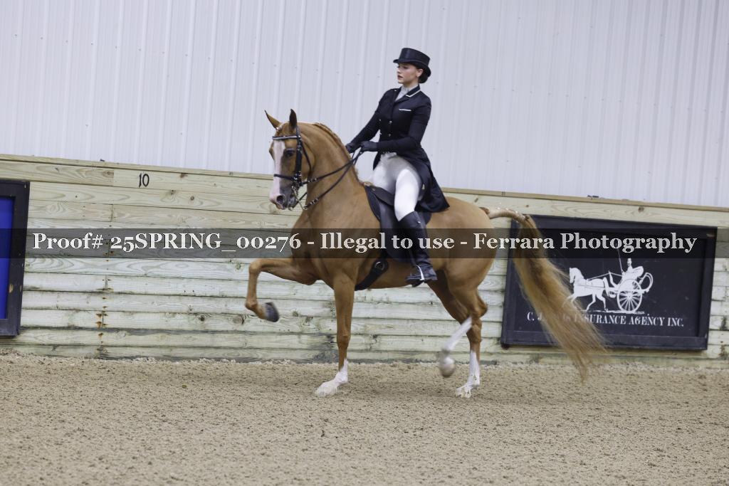 Proof 25SPRING_00276