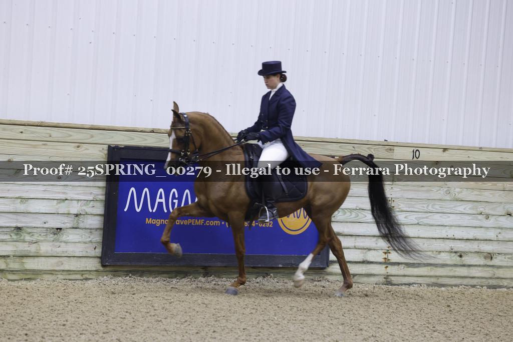 Proof 25SPRING_00279