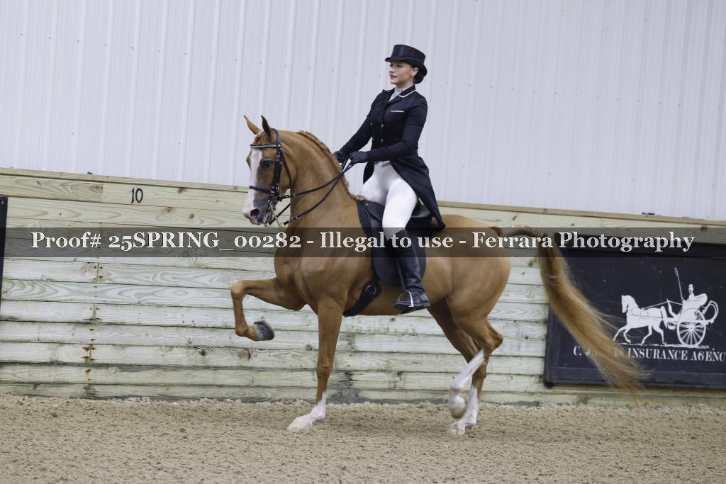 Proof 25SPRING_00282