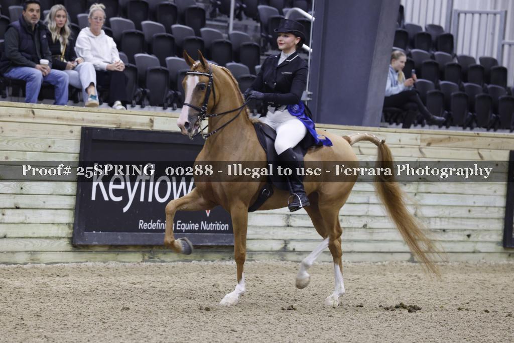 Proof 25SPRING_00288