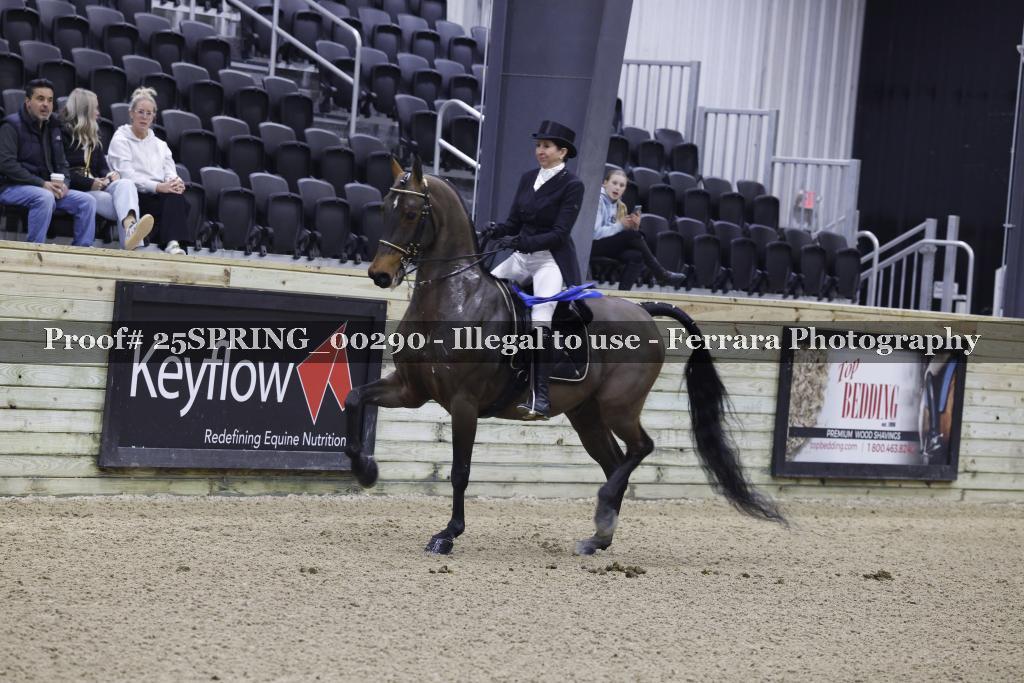 Proof 25SPRING_00290