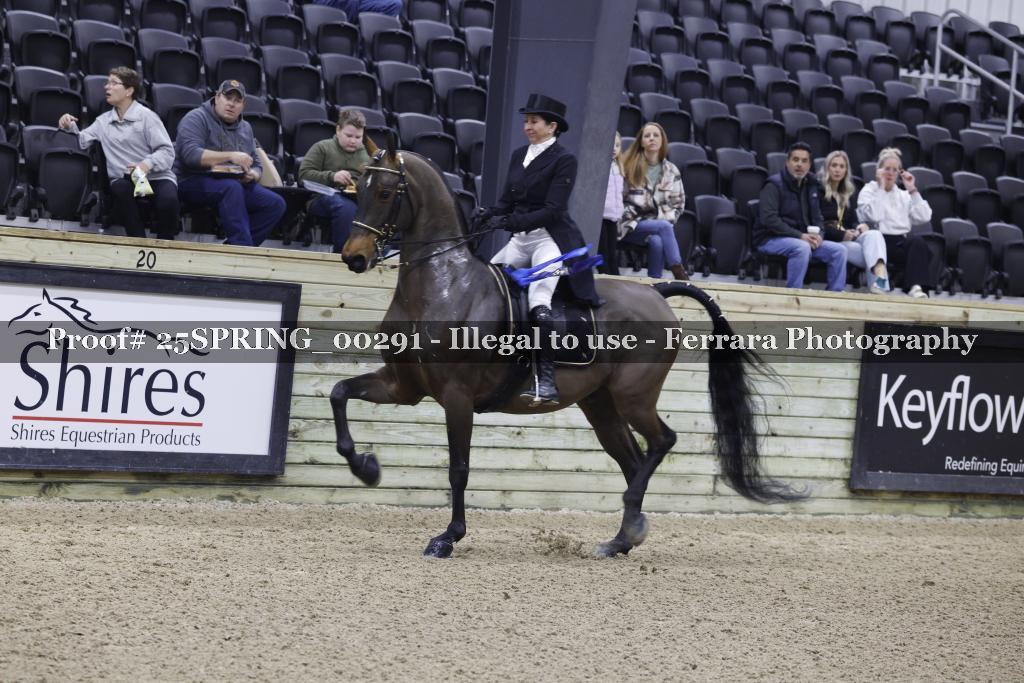 Proof 25SPRING_00291