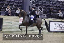 25SPRING_00292 proof