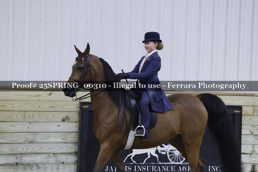 Proof 25SPRING_00310