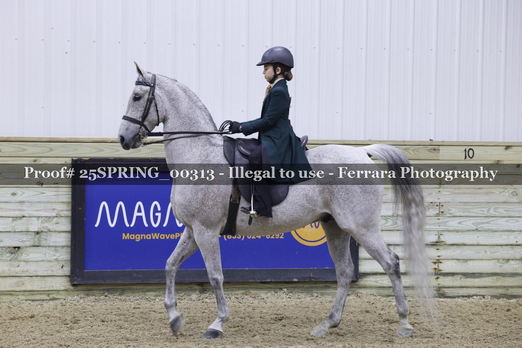 Proof 25SPRING_00313