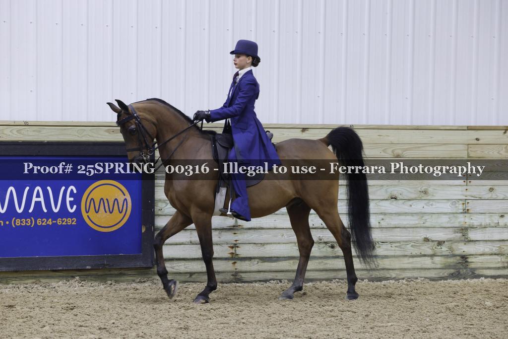 Proof 25SPRING_00316
