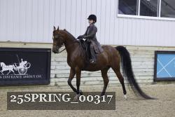 25SPRING_00317 proof