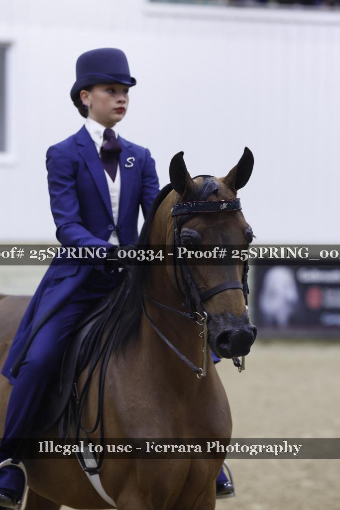 Proof 25SPRING_00334