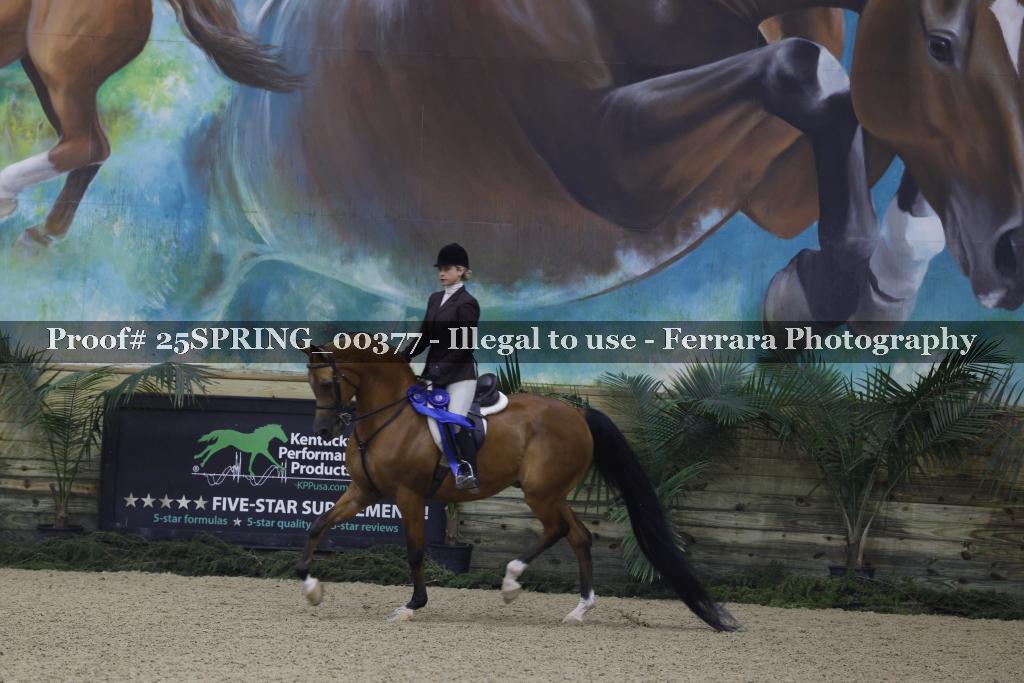 Proof 25SPRING_00377
