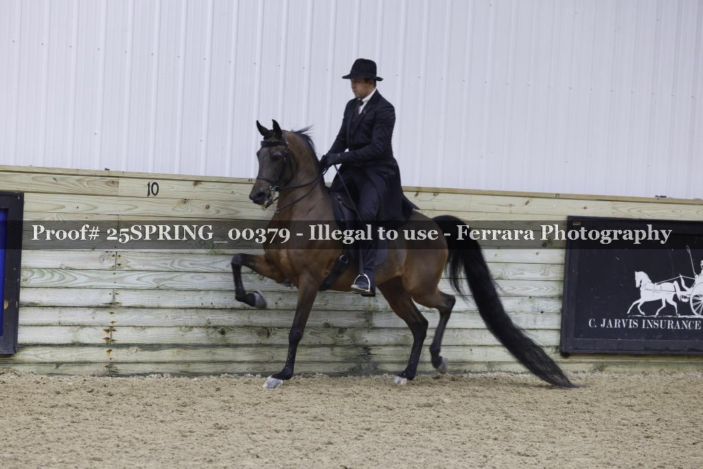 Proof 25SPRING_00379