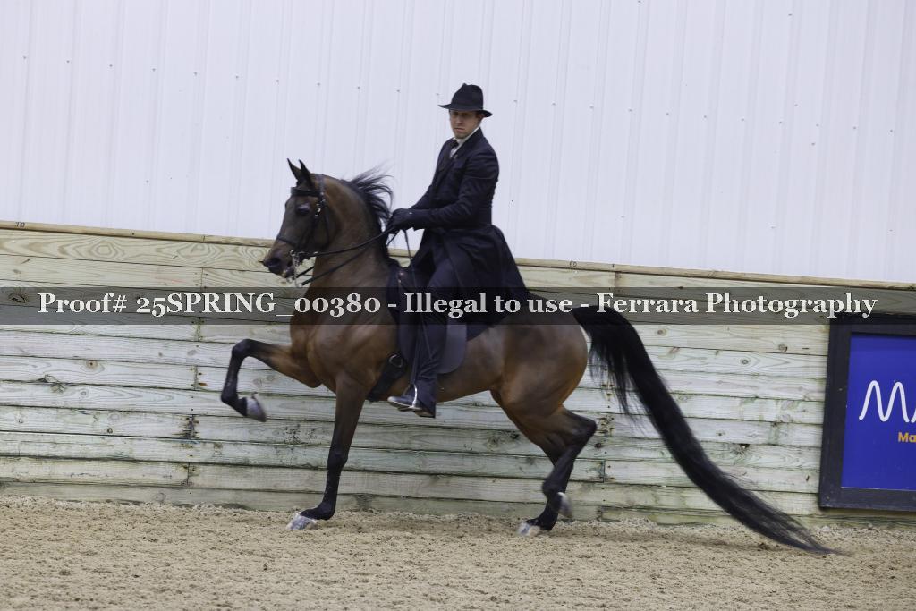 Proof 25SPRING_00380