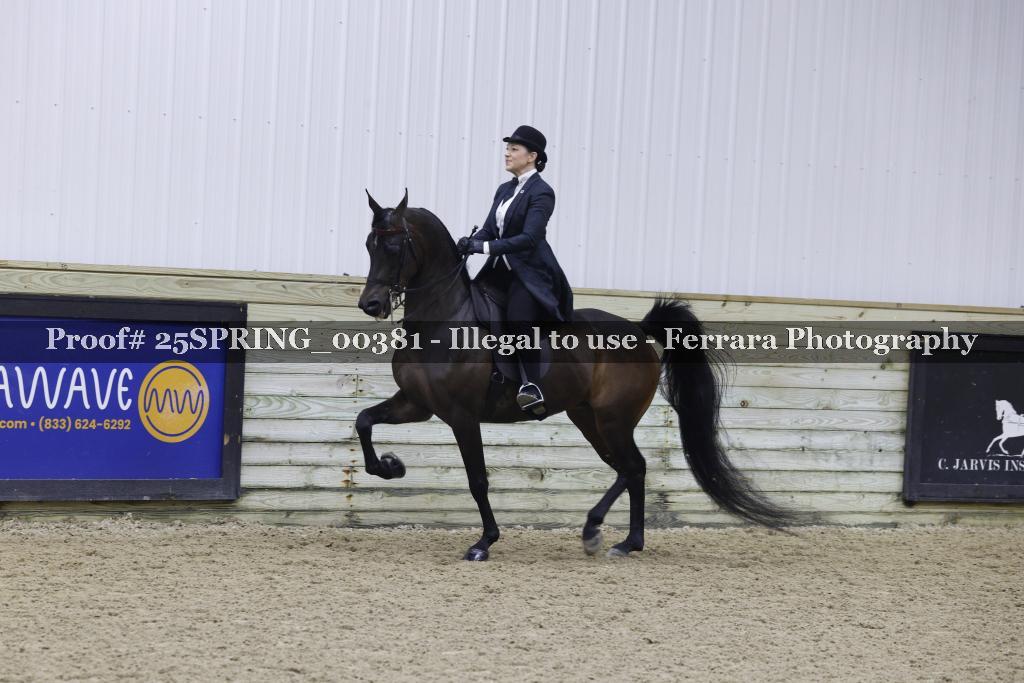 Proof 25SPRING_00381