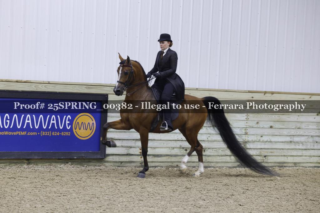 Proof 25SPRING_00382