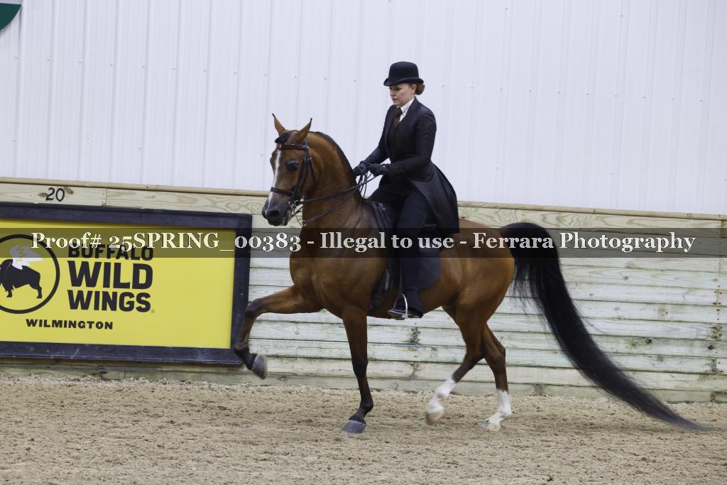 Proof 25SPRING_00383