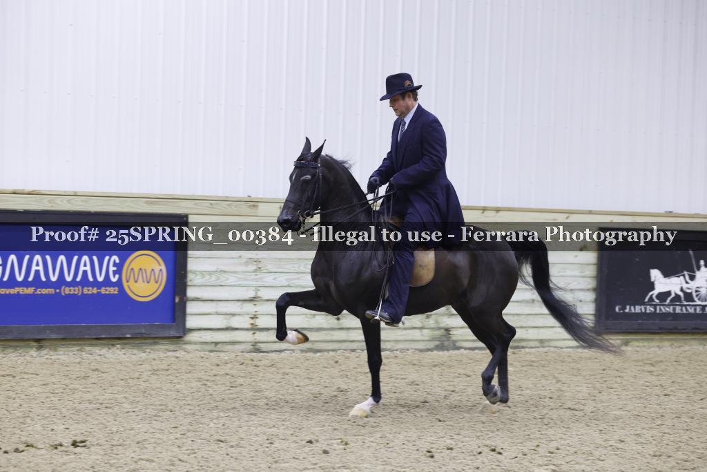Proof 25SPRING_00384