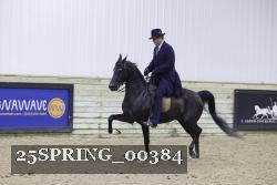 25SPRING_00384 proof