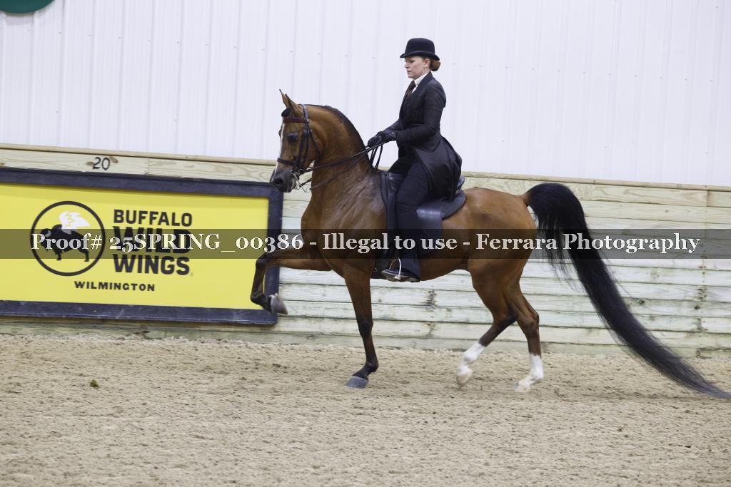 Proof 25SPRING_00386