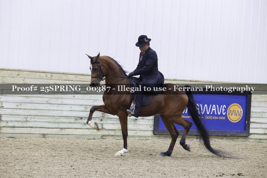 Proof 25SPRING_00387