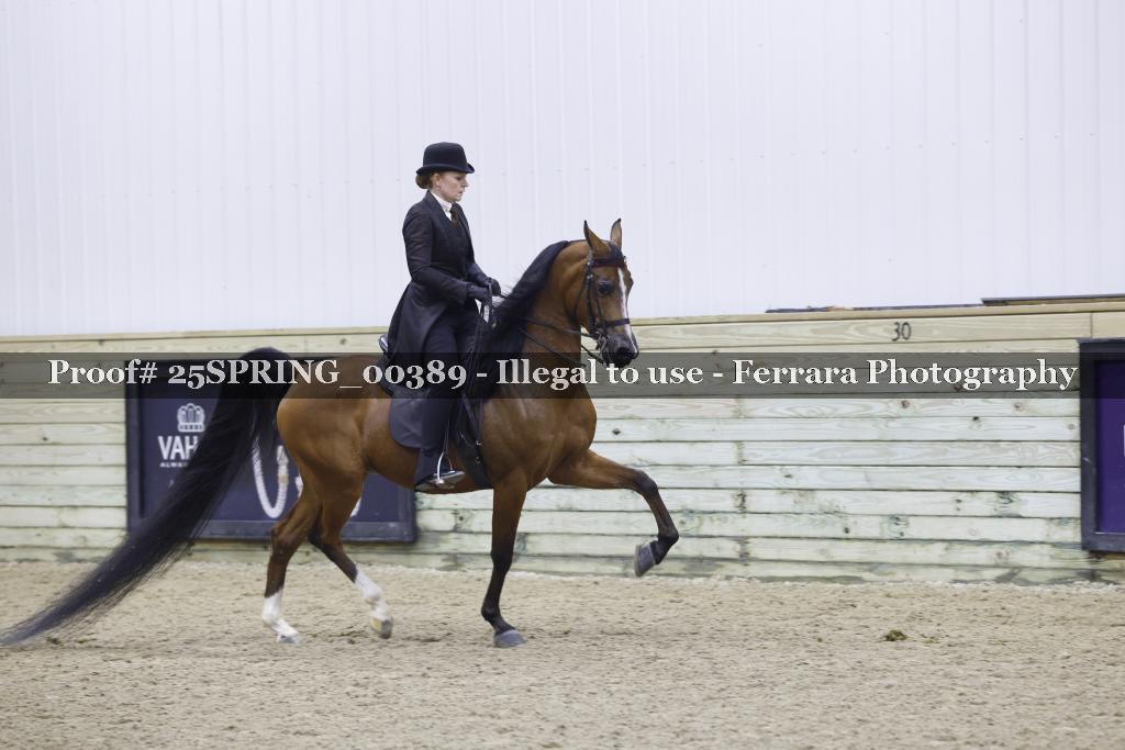 Proof 25SPRING_00389